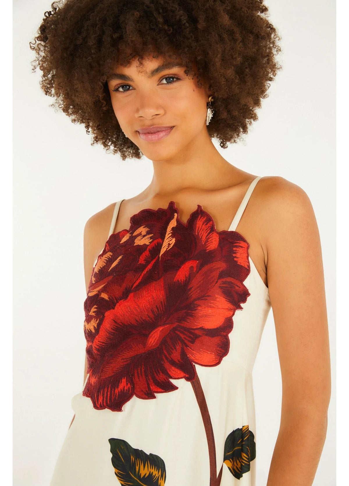 Vestido Cropped Bordado Rosalia