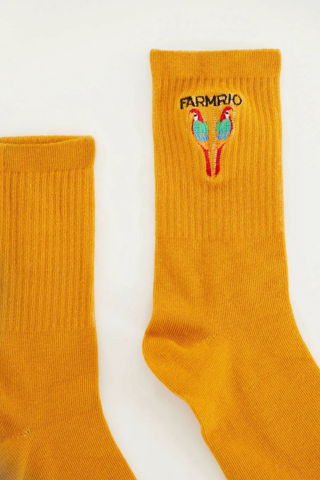 MEDIA AMARILLA ARARA