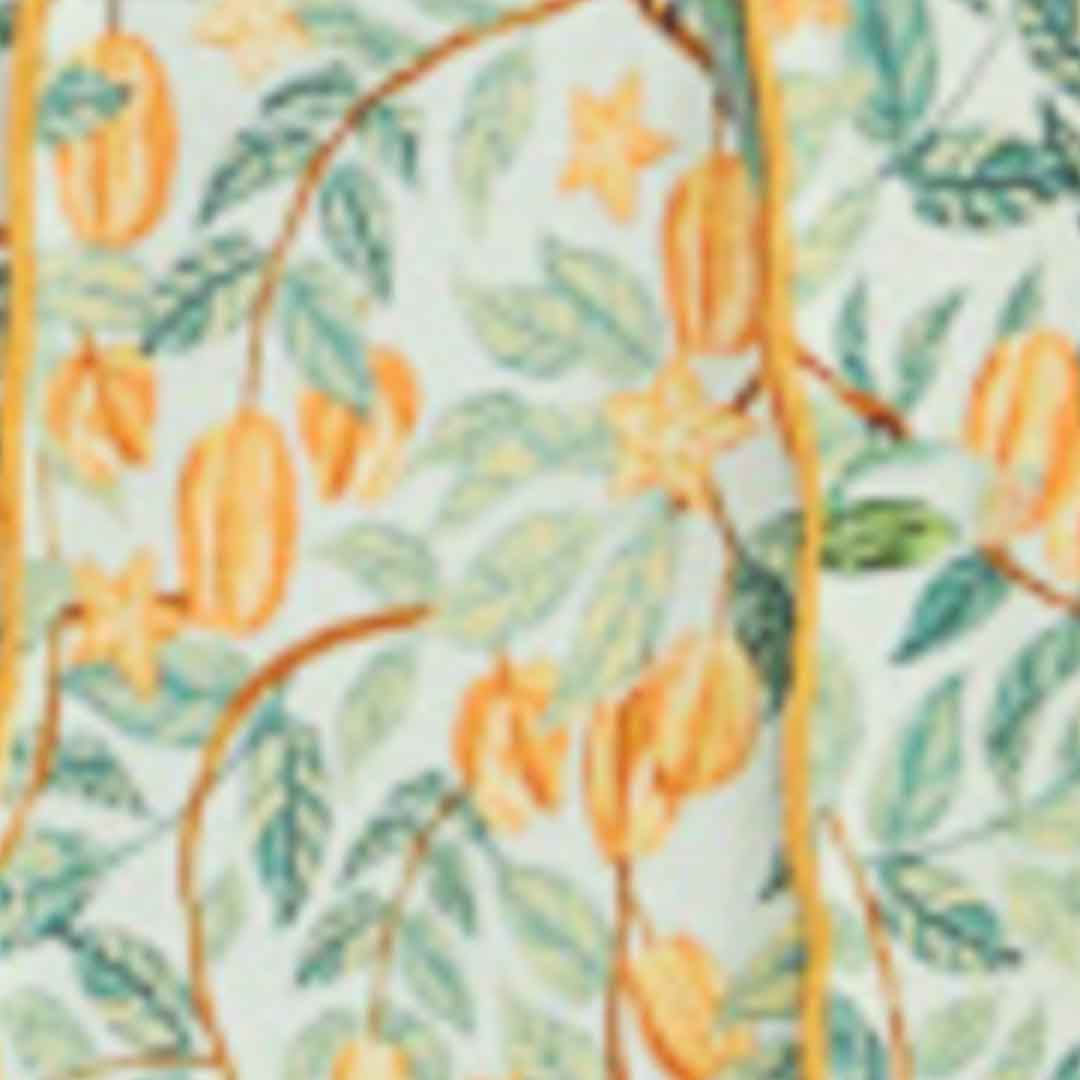 Blusa Estampada Fruta Estrela