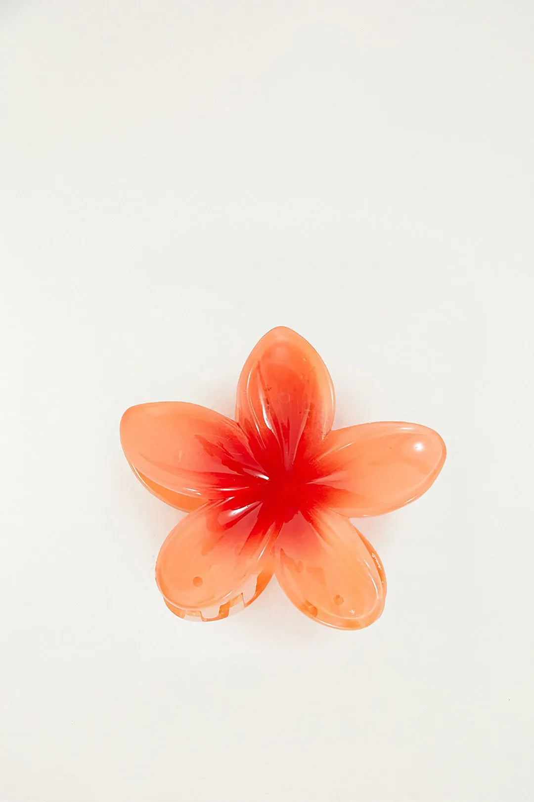 GANCHOS DE CABELLO FARM