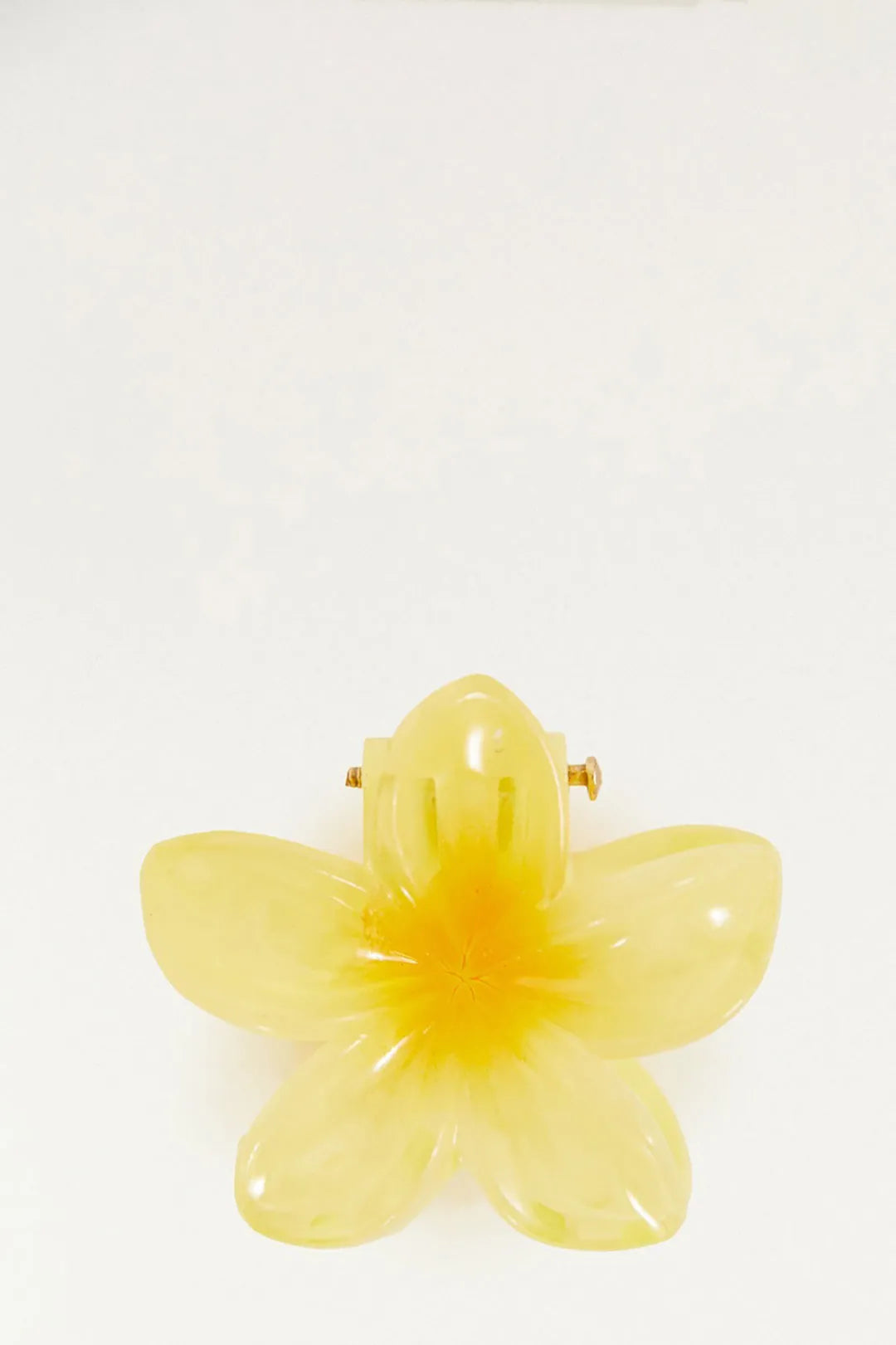 GANCHOS DE CABELLO FARM