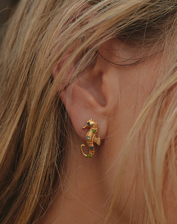 Seahorse Earrings
