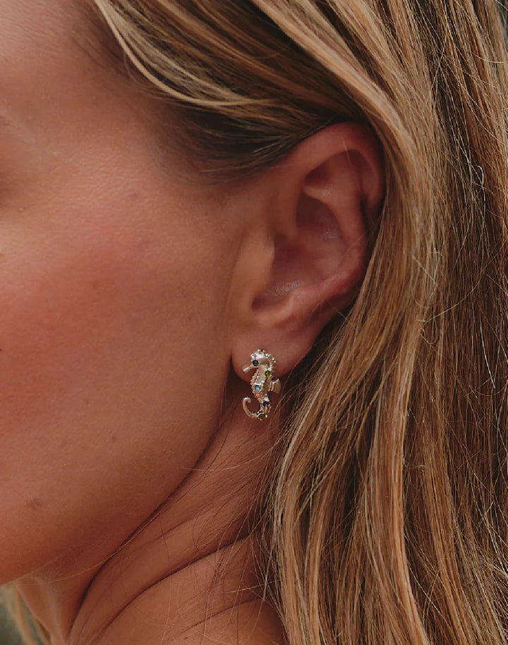 Seahorse Earrings