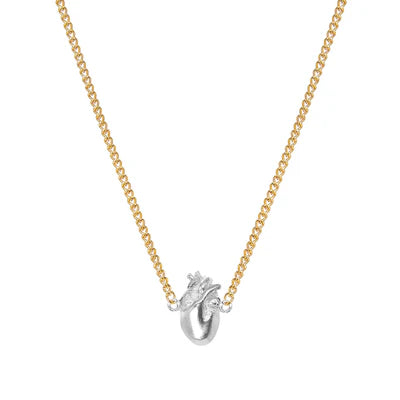 Cadena Anatomik Tiny G&amp;S