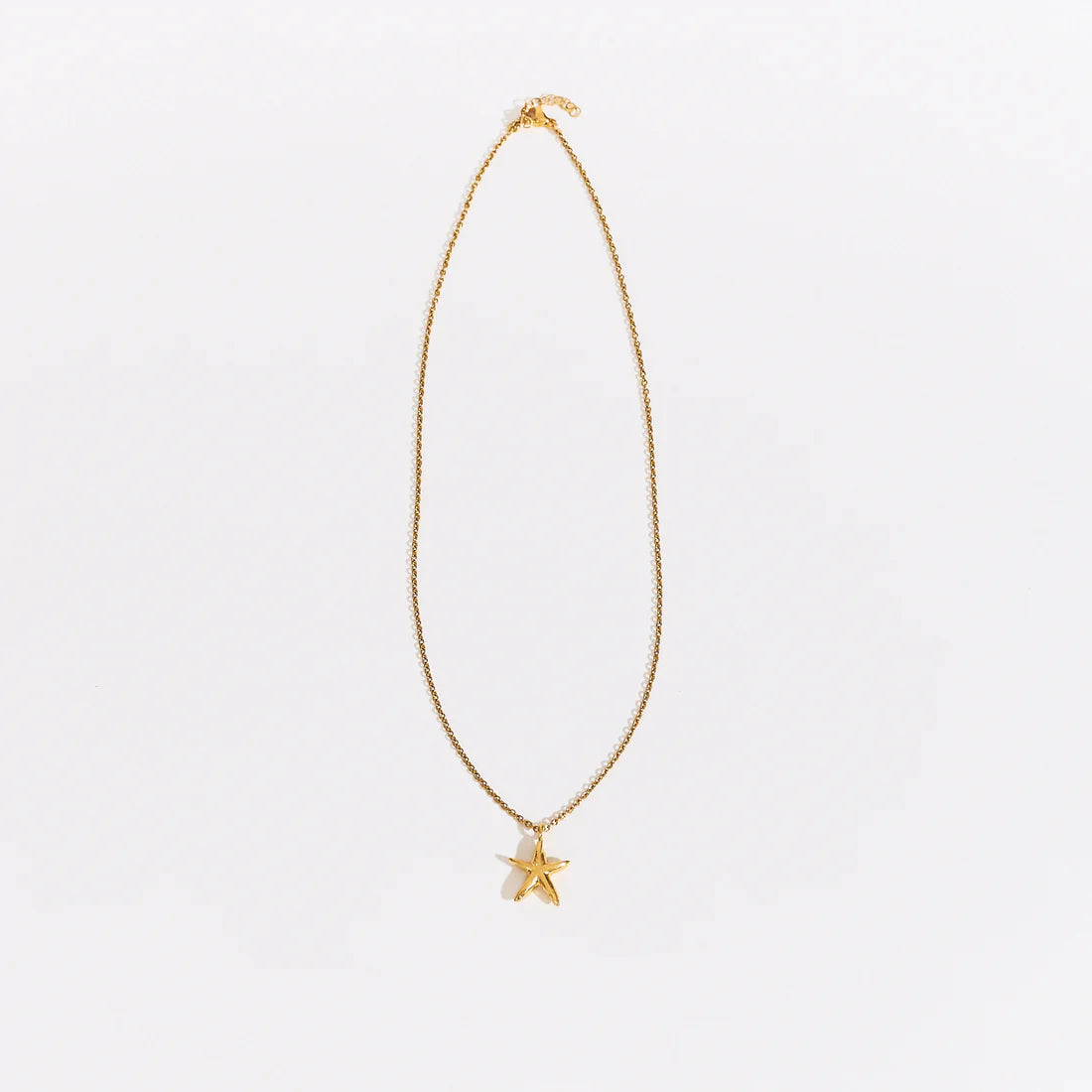 Una Estrella De Mar Mini Necklace