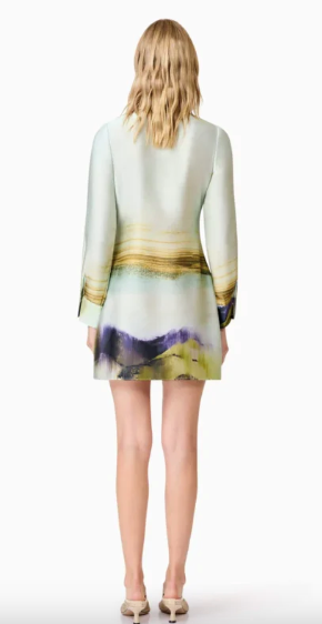 Willow Satin Mini Dress