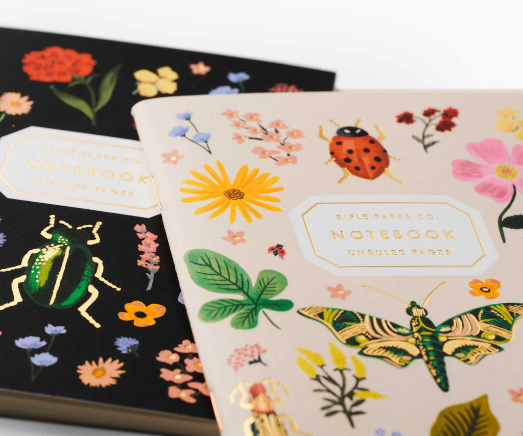 Pair of 2 Curio Pocket Notebooks