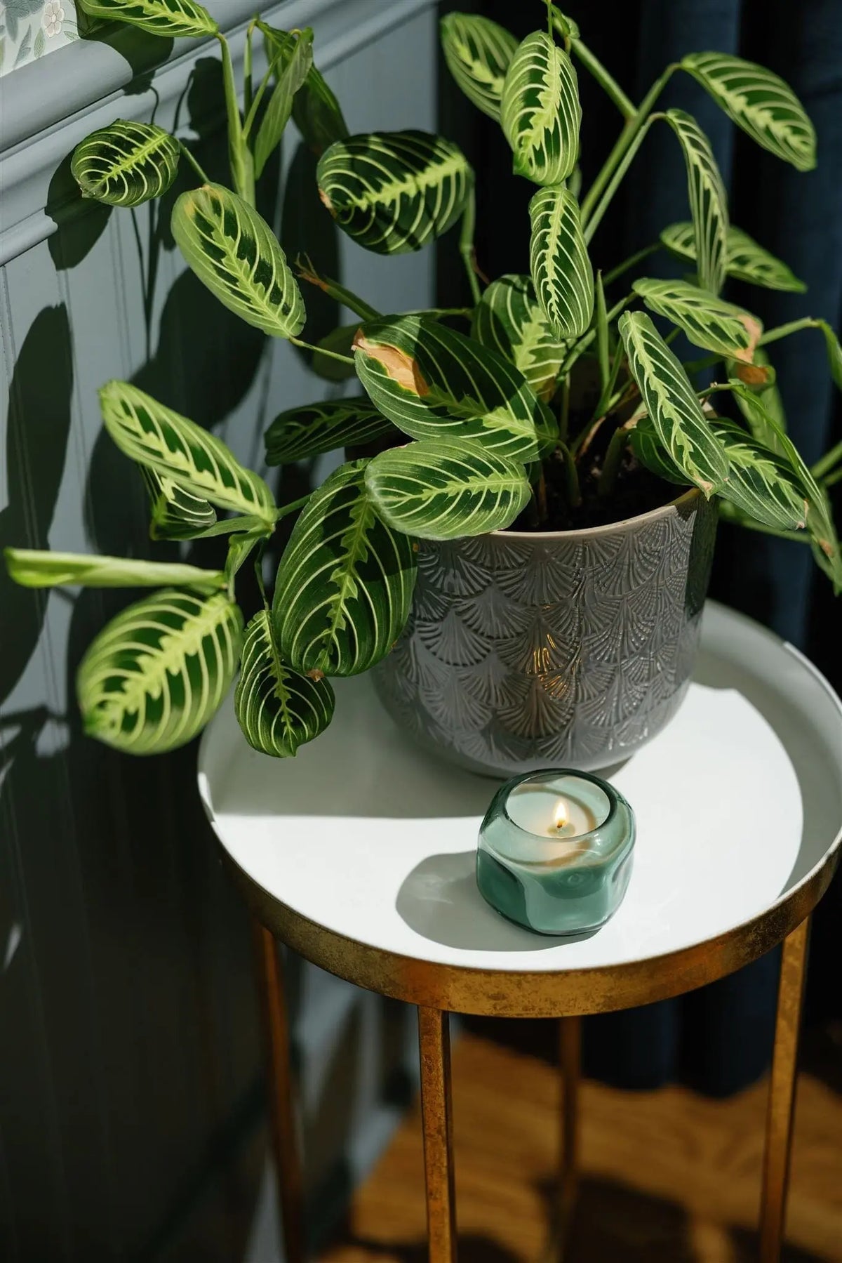 Basalt Turquoise 5 Oz Organic Shaped Tinted Glass With Dustcover