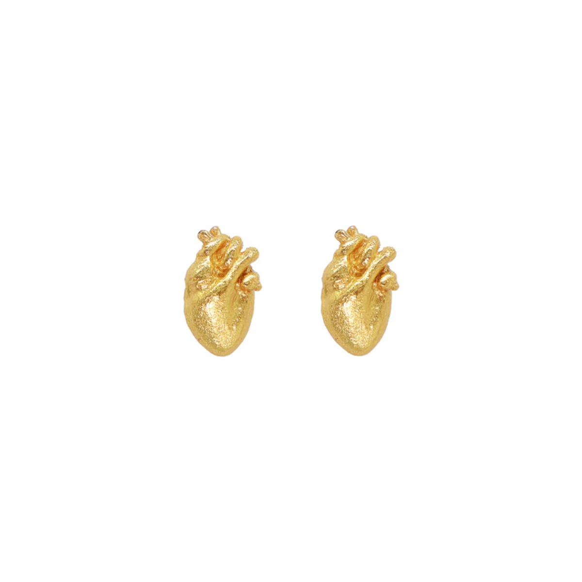 TOPOS ANATOMIK TINY